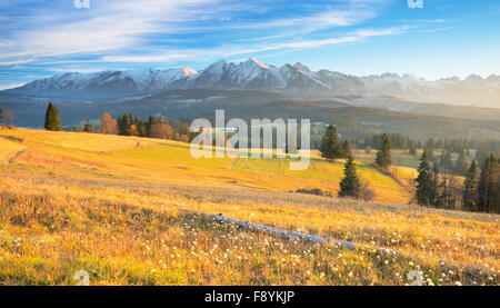 Vista del paesaggio dei Monti Tatra, vicino a Zakopane, Polonia Foto Stock