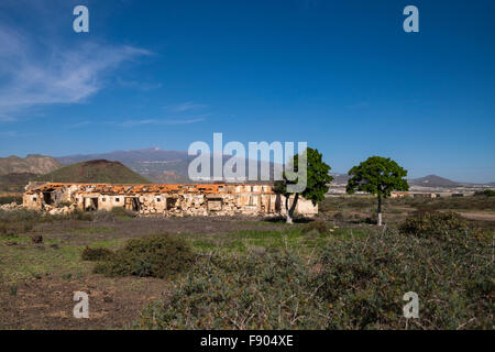 Abbandonato il vecchio finca casa vicino a Palm Mar, Tenerife, Isole Canarie, Spagna. Foto Stock