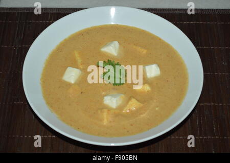 Cucina Indiana: curry, dolce, cibo per neonati, riso fritto, formaggio al curry, snacks Foto Stock