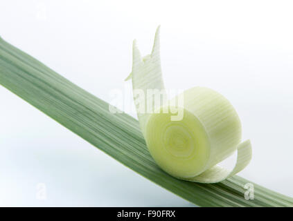 Snail fatta con un pezzo di porro salendo su una foglia di erba Foto Stock