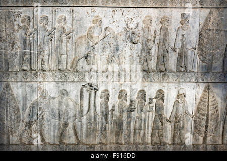 Apadana scalinata orientale, Bactrian e Gandaran processione portando omaggi a Dario il Grande, Persepolis, Iran Foto Stock