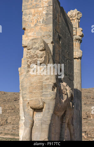 Porta di tutte le nazioni con un Lamassu, Persepolis, Iran Foto Stock