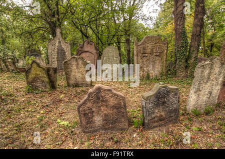 Il vecchio cimitero Ebreo a Kolin, Repubblica Ceca Foto Stock