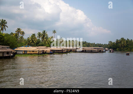 Backwaters nel Kerala, India. Le lagune sono una rete estesa di 41 ovest ad incastro che scorre fiumi, laghi e canali th Foto Stock