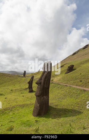 Fotografia del moais a Rano Raraku cava di pietra sull'Isola di Pasqua in Cile. Foto Stock