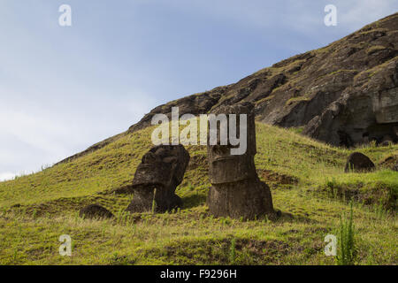 Fotografia del moais a Rano Raraku cava di pietra sull'Isola di Pasqua in Cile. Foto Stock