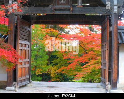 Nison-nel tempio di Kyoto Foto Stock