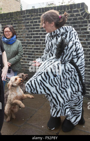 Londra, Regno Unito. Il 13 dicembre 2015. Il London Pantomime cavallo di razza, ora nel suo sesto anno avviene a Greenwich per raccogliere fondi per la Demelza ospizio per i bambini. Credito: bas/Alamy Live News Foto Stock