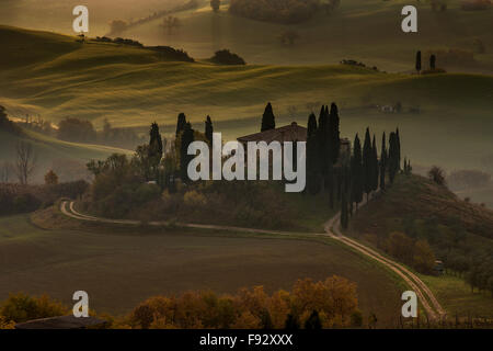 Scenic Toscana paesaggio, Val d'Orcia, Italia Foto Stock