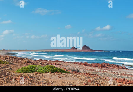 Socotra, Yemen, Medio Oriente: il paesaggio della zona protetta di Dihamri marine, nel nord-est dell'isola famosa per la sua biodiversità unico Foto Stock