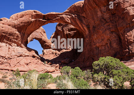 Il doppio arco, la selezione di Windows, il Parco Nazionale di Arches, Utah, Stati Uniti d'America Foto Stock