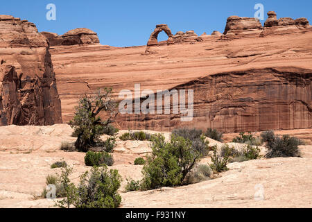 Vista di Delicate Arch da upper Delicate Arch Viewpoint, Arches National Park, Utah, Stati Uniti d'America Foto Stock