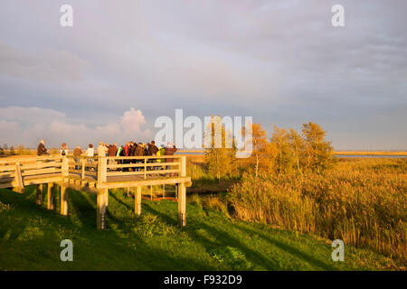 Bird watching ponte in Ostseeheilbad Zingst, Mar Baltico Health Spa, sera, isola Kirr dietro, Fischland-Darß-Zingst, Foto Stock