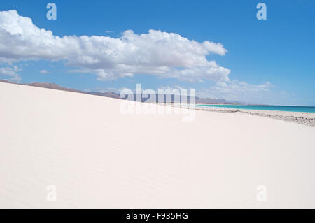 Socotra, Yemen, Medio Oriente: le splendide dune di sabbia della zona protetta di Aomak beach, Golfo di Aden, Mare Arabico Foto Stock