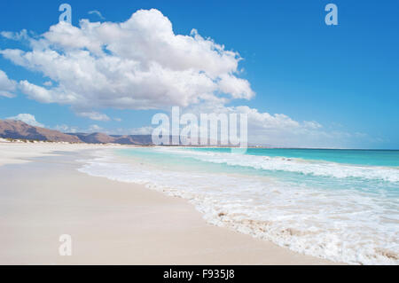 L'area protetta di Aomak beach, Golfo di Aden, Mare Arabico, isola di Socotra, Yemen, Medio Oriente, centro di biodiversità unico Foto Stock