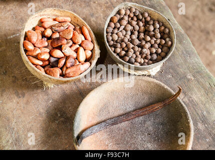I tre ingredienti gli Aztechi usavano per rendere al cioccolato: le fave di cacao, pepe e vaniglia. Foto Stock