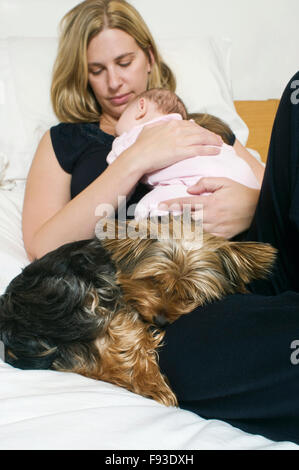 Un stanchi di napping madre con il suo bimbo di due mesi e il suo Yorkshire terrier. Foto Stock