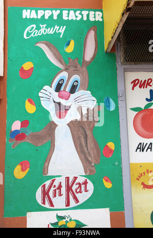 Murale su Rose Corner Cafe nel Bo Kaap distretto di Cape Town Foto Stock