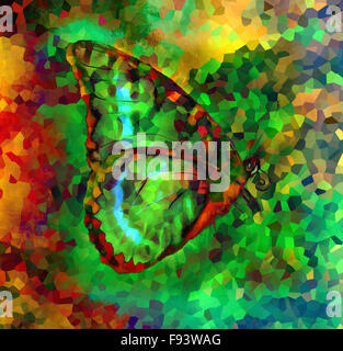 Illustrazione di un colore butterfly, misti di medie, astratto colore di sfondo Foto Stock