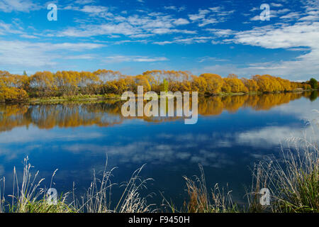 Colore di autunno e Clutha River a Kaitangata, vicino Balclutha, Sud Otago, Isola del Sud, Nuova Zelanda Foto Stock