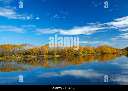 Colore di autunno e Clutha River a Kaitangata, vicino Balclutha, Sud Otago, Isola del Sud, Nuova Zelanda Foto Stock