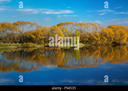 Colore di autunno e Clutha River a Kaitangata, vicino Balclutha, Sud Otago, Isola del Sud, Nuova Zelanda Foto Stock