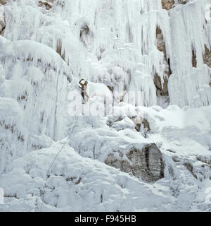 scalatore di ghiaccio (sam orsella) scalando ghiacciato cade lungo la montagna rocciosa fronte vicino augusta, montana Foto Stock