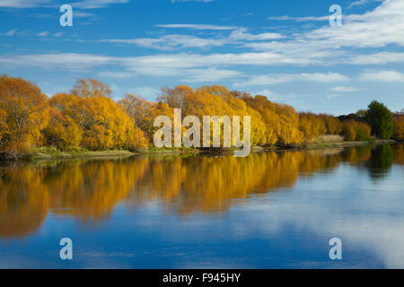 Colore di autunno e Clutha River a Kaitangata, vicino Balclutha, Sud Otago, Isola del Sud, Nuova Zelanda Foto Stock