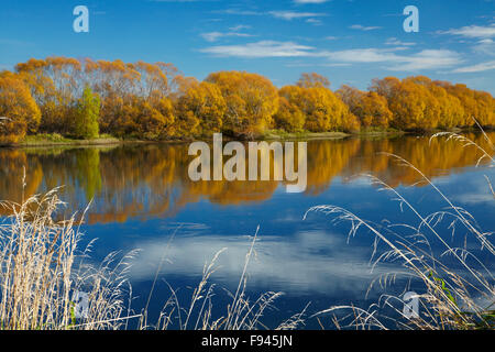 Colore di autunno e Clutha River a Kaitangata, vicino Balclutha, Sud Otago, Isola del Sud, Nuova Zelanda Foto Stock