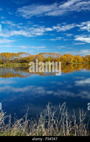 Colore di autunno e Clutha River a Kaitangata, vicino Balclutha, Sud Otago, Isola del Sud, Nuova Zelanda Foto Stock