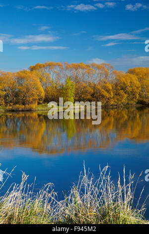 Colore di autunno e Clutha River a Kaitangata, vicino Balclutha, Sud Otago, Isola del Sud, Nuova Zelanda Foto Stock