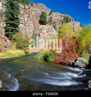 I colori dell'autunno lungo il Po' di ficodindia creek in Wolf Creek Canyon vicino a Helena, Montana Foto Stock