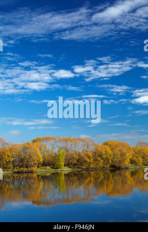 Colore di autunno e Clutha River a Kaitangata, vicino Balclutha, Sud Otago, Isola del Sud, Nuova Zelanda Foto Stock