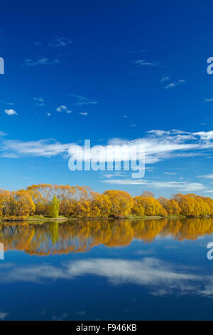 Colore di autunno e Clutha River a Kaitangata, vicino Balclutha, Sud Otago, Isola del Sud, Nuova Zelanda Foto Stock