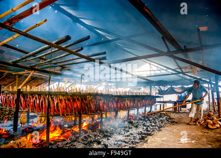 Un lavoratore sta mantenendo la distribuzione di buccia di cocco che brucia che è usato come combustibile per fumare le carni di tonno di skipjack in un'industria domestica in Indonesia. Foto Stock