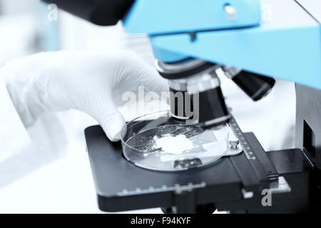 Stretta di mano con microscopio e campione di polvere Foto Stock