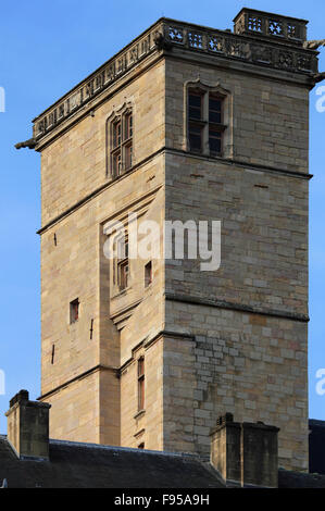 Francia, Bourgogne, Dijon, Tour Philippe-le-Bon, tower Foto Stock