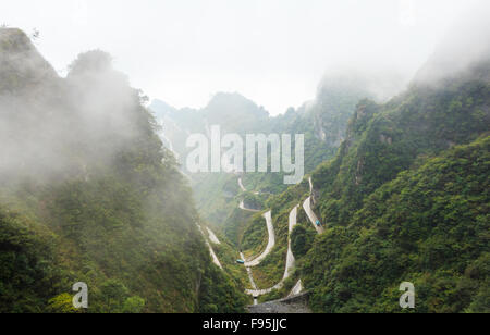 Zhangjiajie parco nazionale ( Tian zhi shan ) ( Tianzi natura della montagna riserva ) e la nebbia , Cina Foto Stock