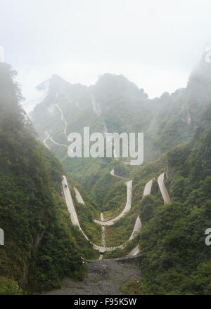 Zhangjiajie parco nazionale ( Tian zhi shan ) ( Tianzi natura della montagna riserva ) e la nebbia , Cina Foto Stock