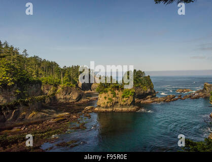 Le lusinghe del Capo Faro, Tatoosh Island, il Parco Nazionale di Olympic, Washington, Stati Uniti d'America Foto Stock