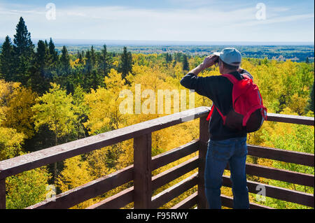 Un escursionista si ammira la vista dal Monte Baldy, il punto più alto in Manitoba, anatra montagna Parco Provinciale, Manitoba, Canada Foto Stock