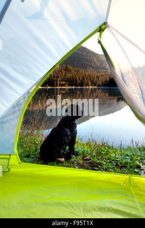 Una tenda viene impostato da un fulmine lago in Manning Park, BC, Canada Foto Stock