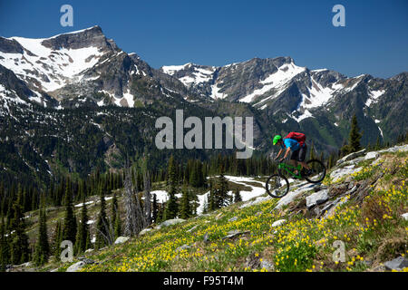 Mountain bike, ghiacciaio Lily, Erythronium grandiflorum, Sol Mountain Lodge, montagne Monashee, Revelstoke, British Columbia, Foto Stock