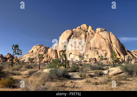 Le formazioni rocciose, Joshua Tree National Park, California Stati Uniti d'America Foto Stock