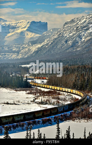 Un lungo avvolgimento Canadina National treno merci trasporto auto grano viaggia attraverso uno spazio nelle montagne rocciose a Brule Foto Stock