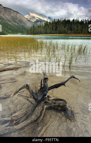 Abbassare Waterfowl Lake, il Parco Nazionale di Banff, Alberta, Canada Foto Stock