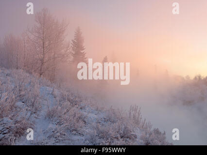 Lungo il Fiume Bow in Cochrane, Alberta, Canada Foto Stock