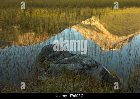 Il baluardo di stagni e Mount Amery, il Parco Nazionale di Banff, Alberta, Canada Foto Stock