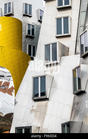 Primo piano del raggio e Maria stata Center complesso accademico progettato da Frank Gehry per il Massachusetts Institute of Foto Stock