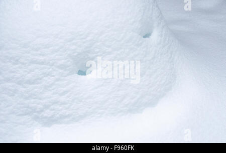 Smiley face nella neve, British Columbia, Canada Foto Stock